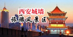 操喷水BB中国陕西-西安城墙旅游风景区